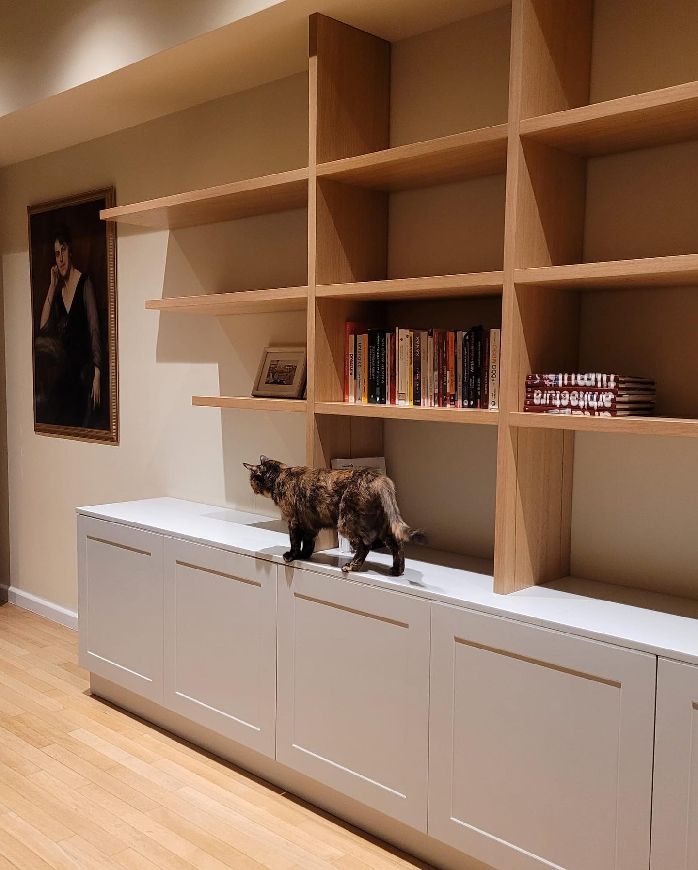 Living elegant cu finisaje premium